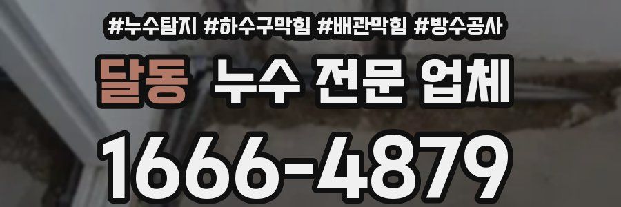 달동 누수 전문 업체