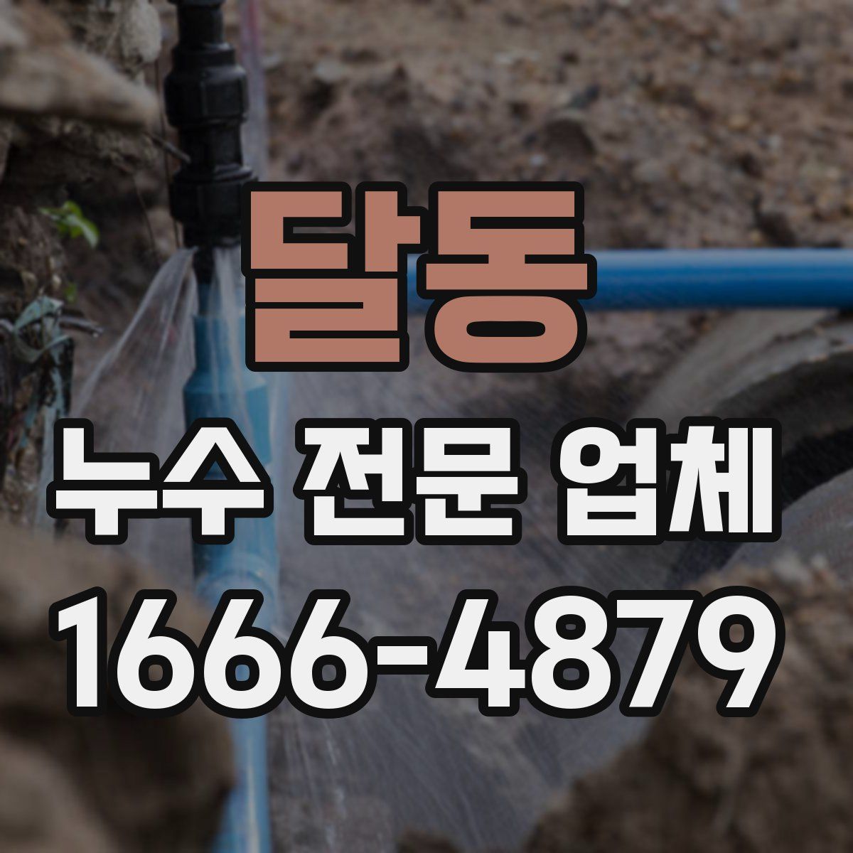 달동 누수 전문 업체