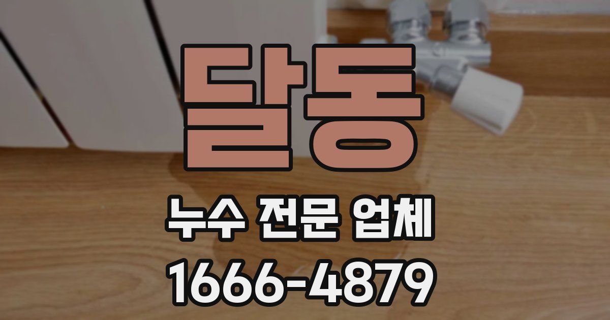 달동 누수 전문 업체