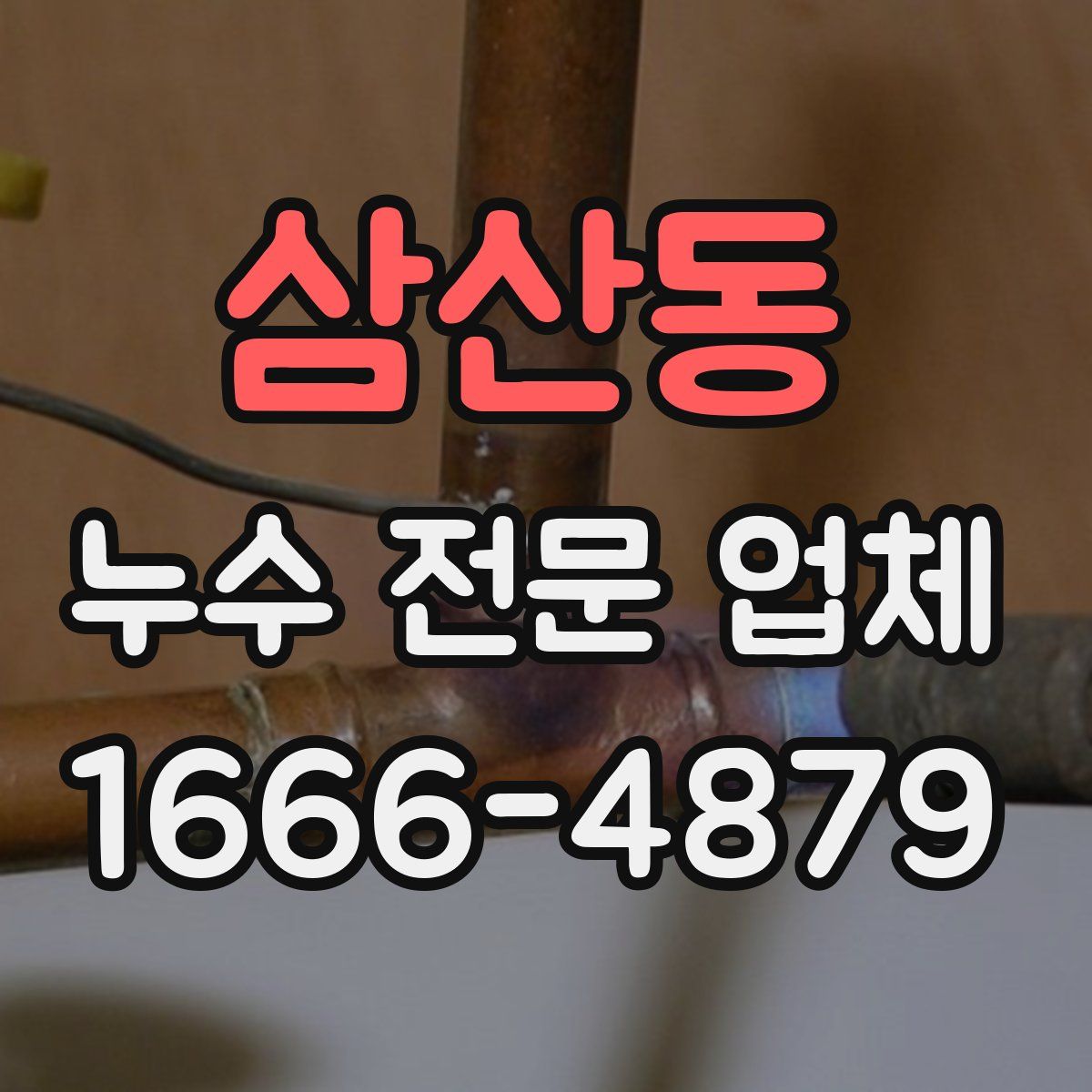 삼산동 누수 전문 업체