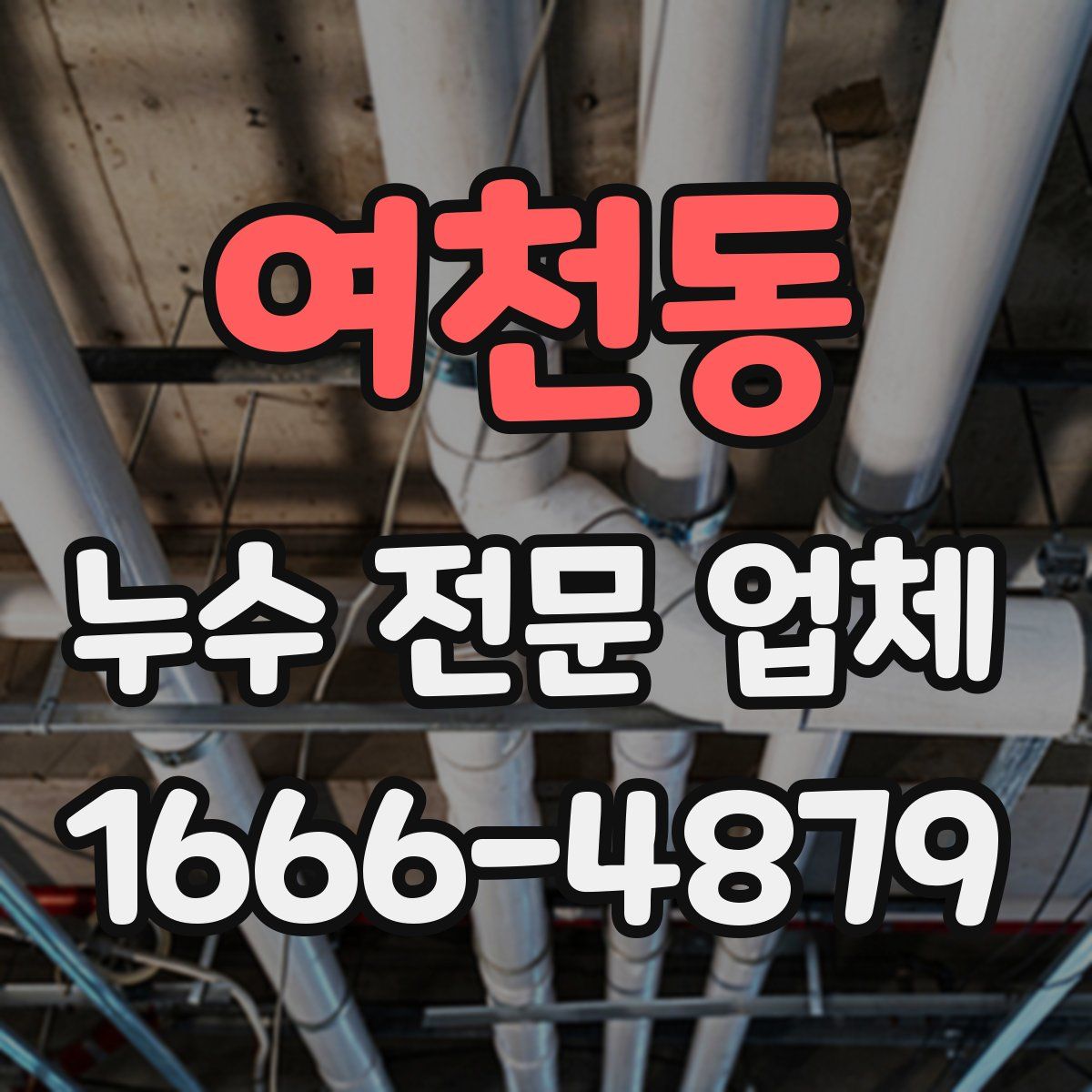 여천동 누수 전문 업체