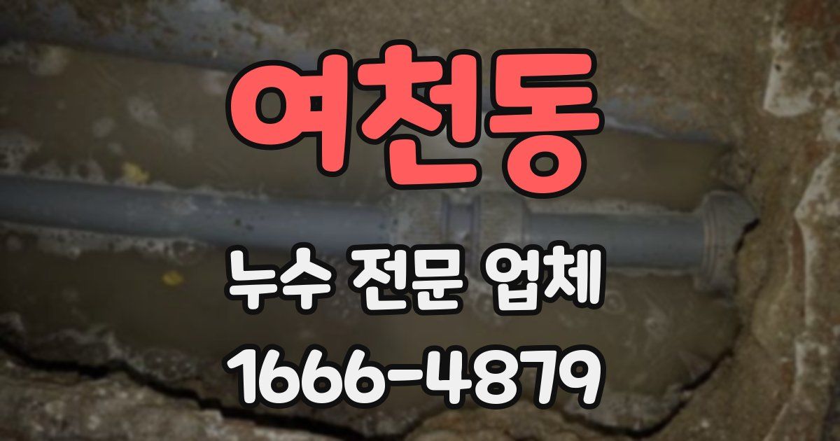 여천동 누수 전문 업체