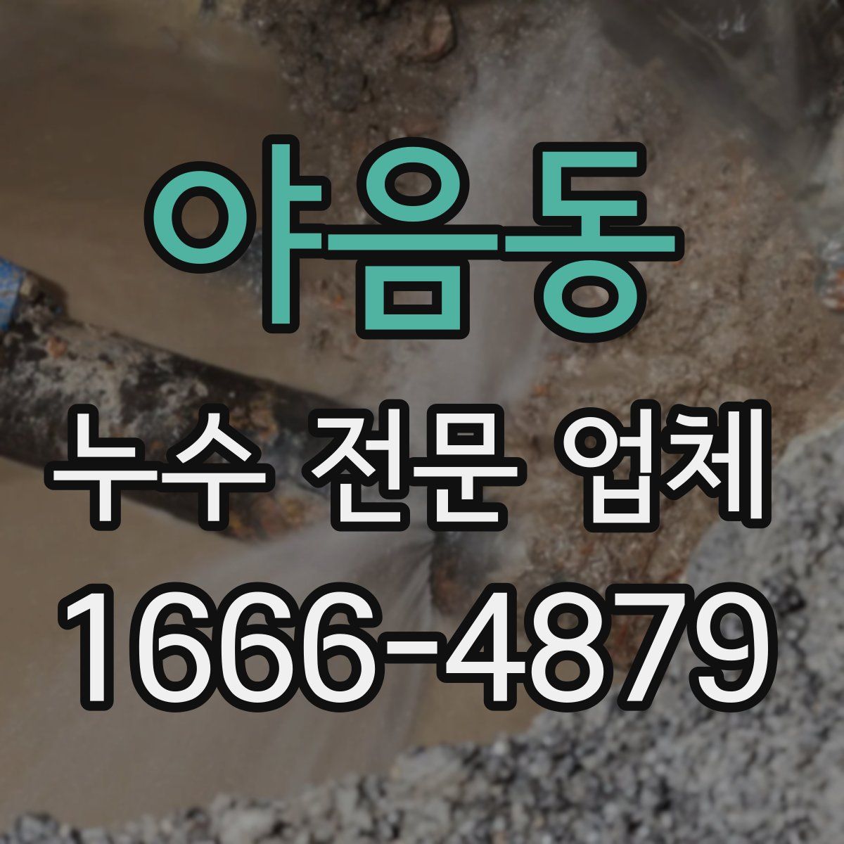 야음동 누수 전문 업체