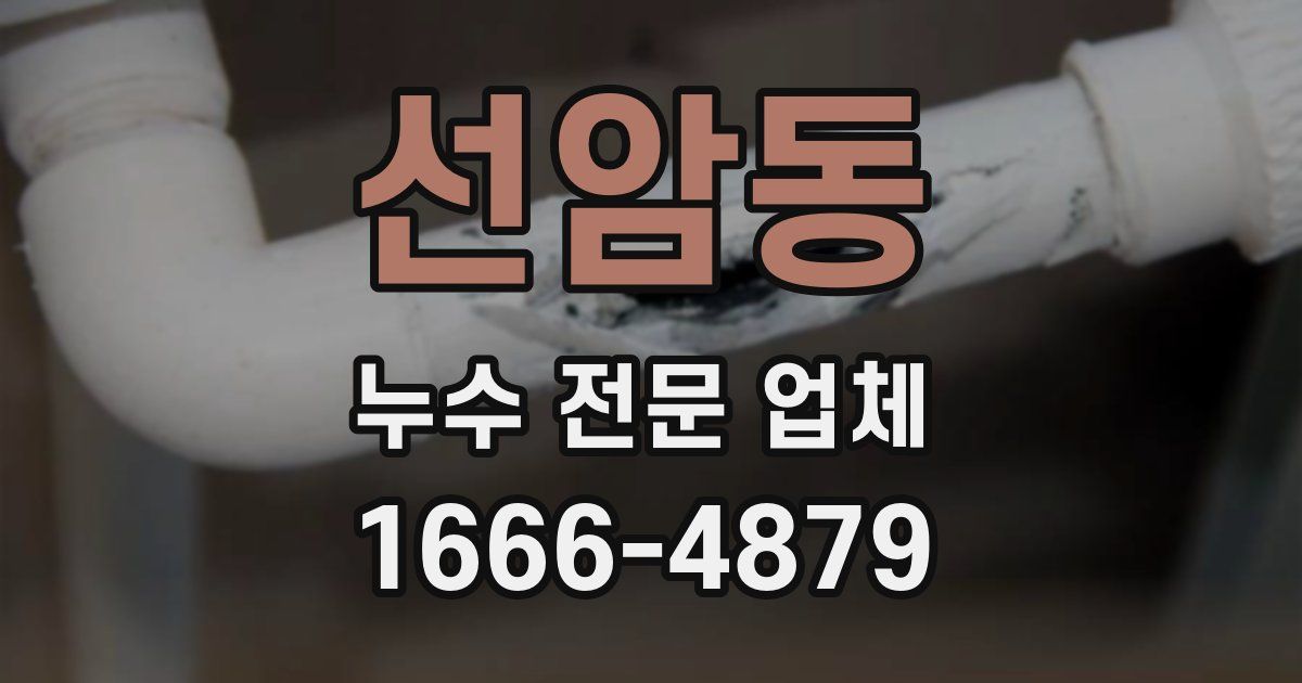 선암동 누수 전문 업체