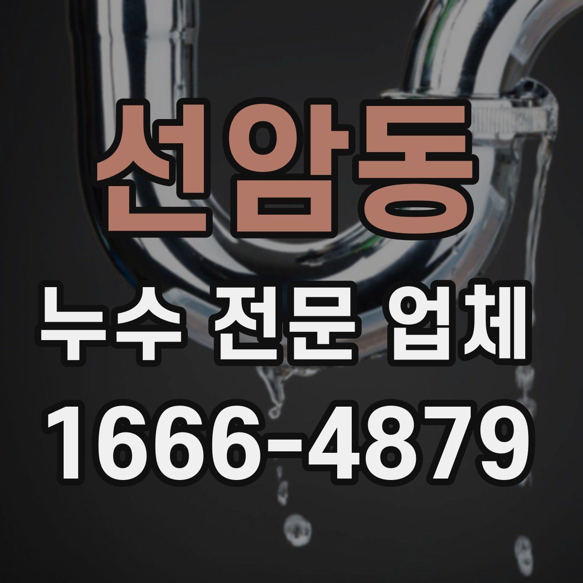 선암동 누수 전문 업체
