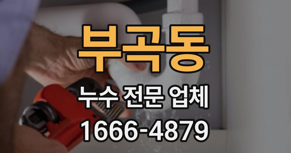 부곡동 누수 전문 업체