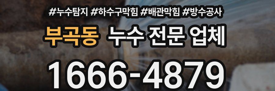 부곡동 누수 전문 업체