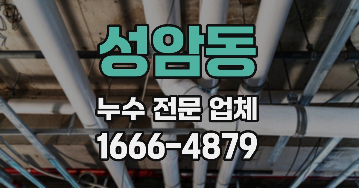 성암동 누수 전문 업체