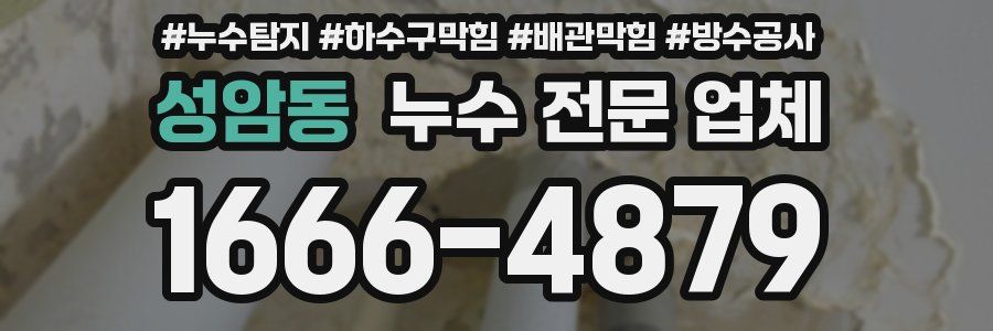 성암동 누수 전문 업체