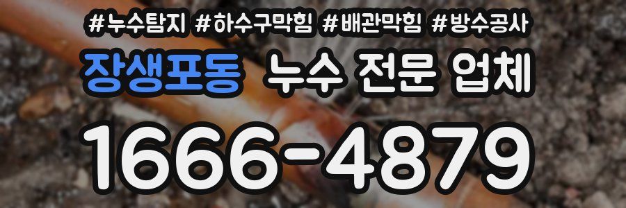 장생포동 누수 전문 업체