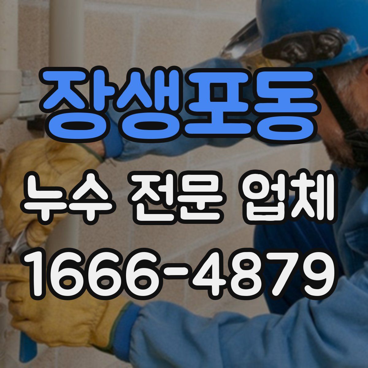 장생포동 누수 전문 업체