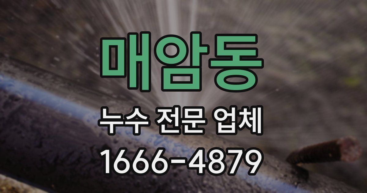 매암동 누수 전문 업체
