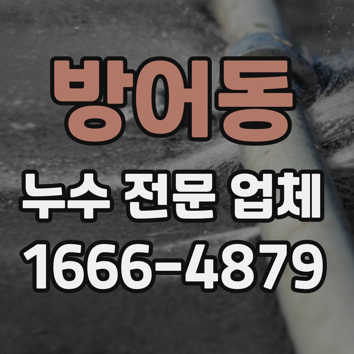 방어동 누수 전문 업체