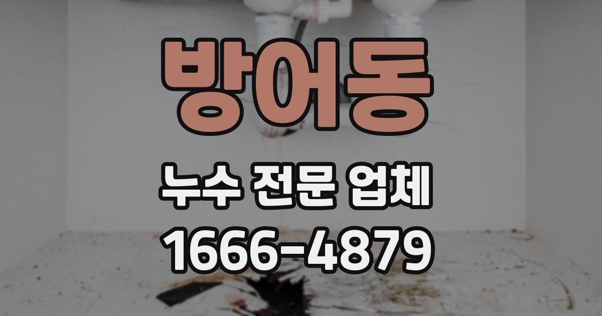 방어동 누수 전문 업체