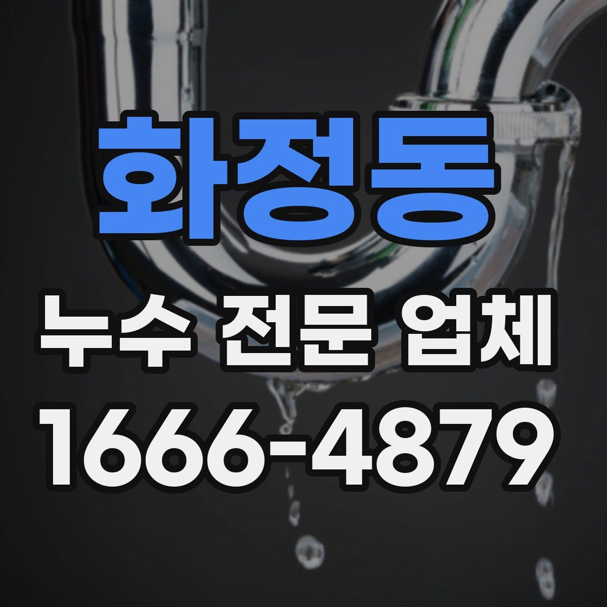 화정동 누수 전문 업체