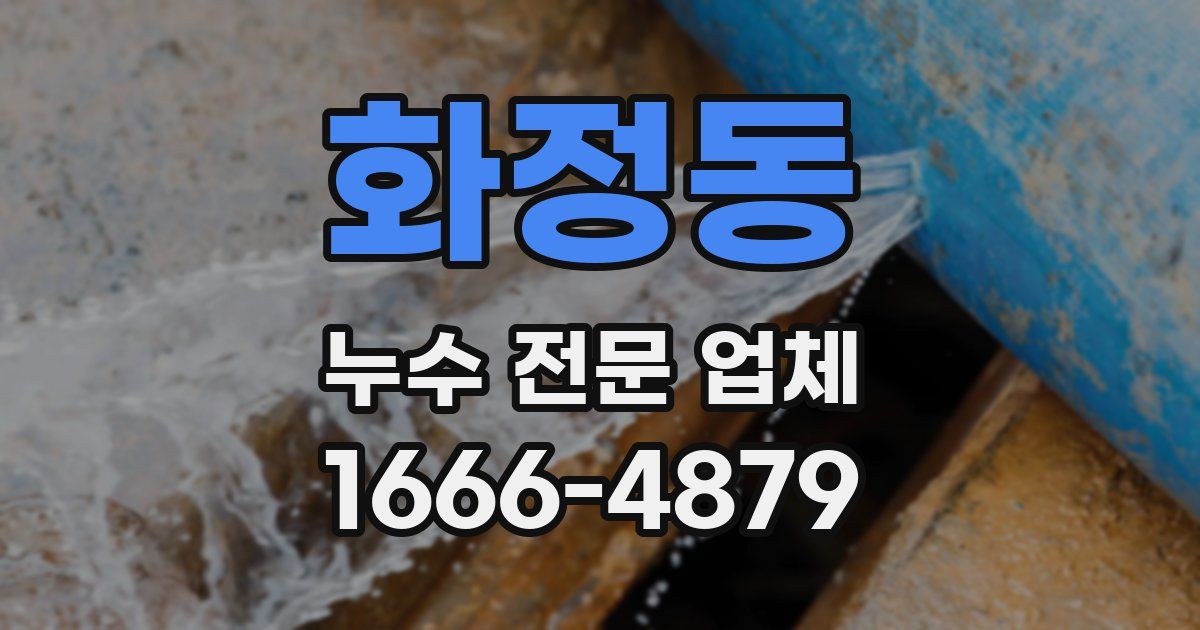 화정동 누수 전문 업체