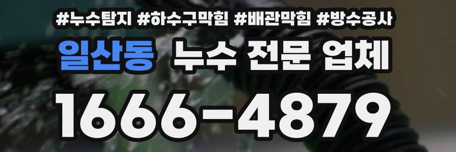 일산동 누수 전문 업체