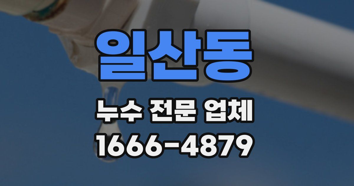 일산동 누수 전문 업체