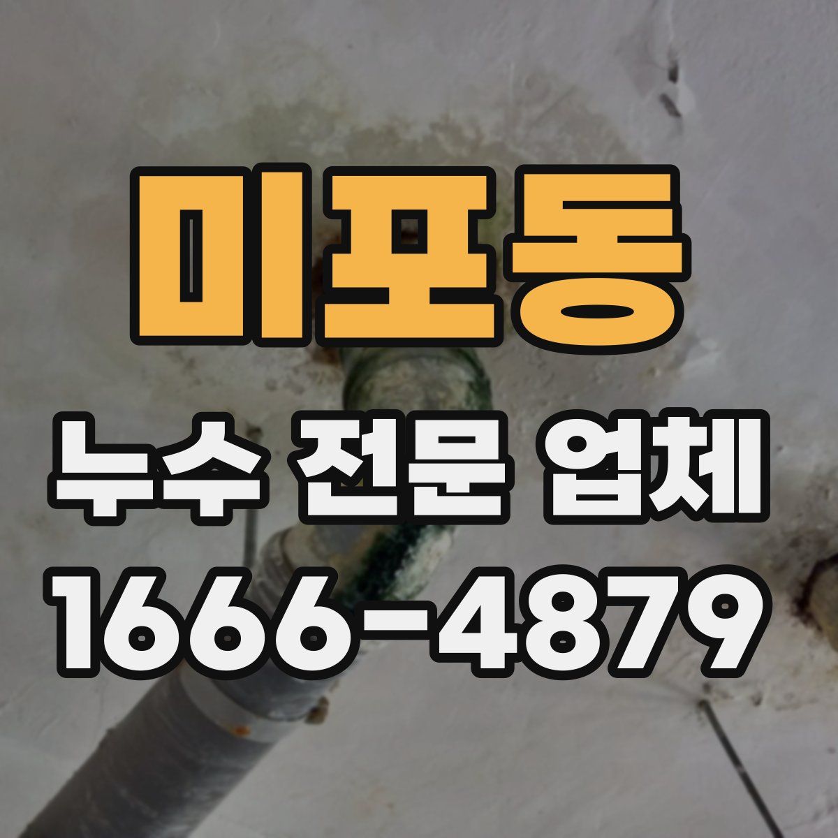 미포동 누수 전문 업체