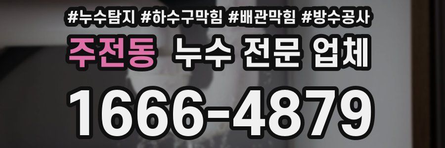 주전동 누수 전문 업체