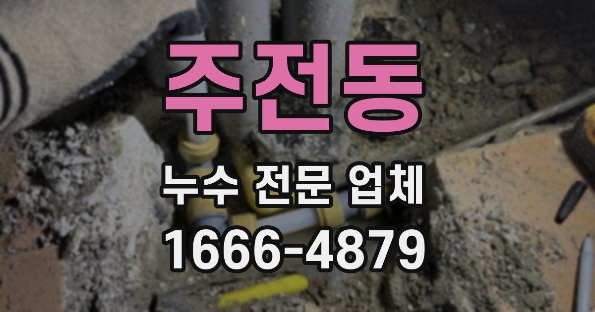 주전동 누수 전문 업체