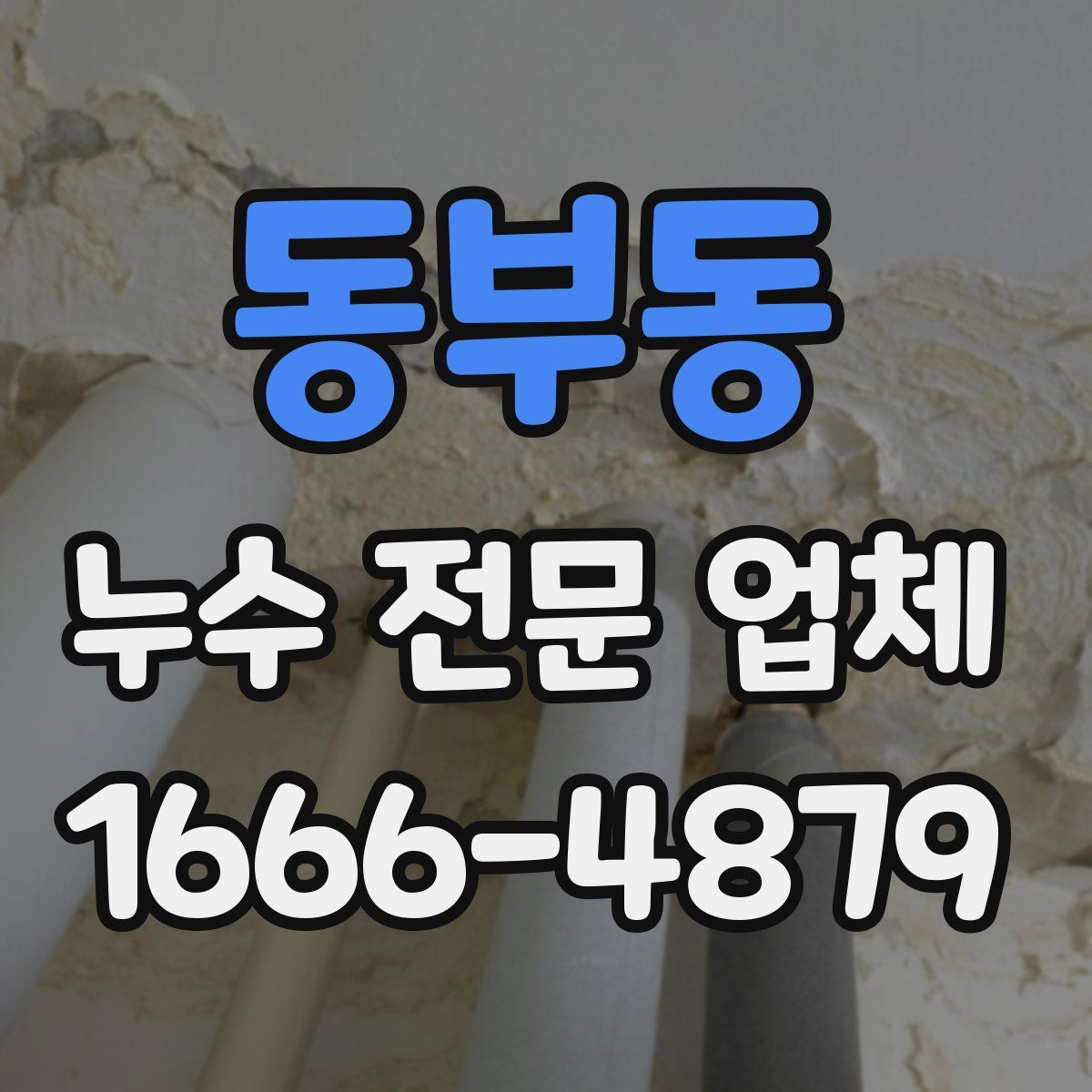 동부동 누수 전문 업체