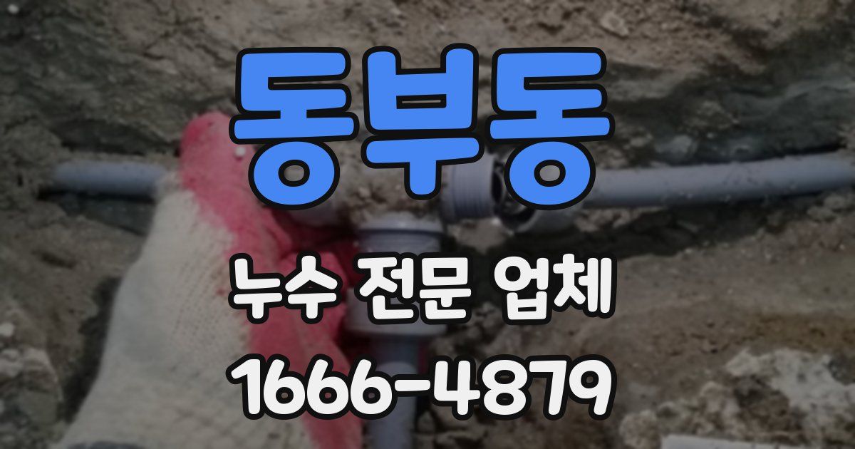 동부동 누수 전문 업체