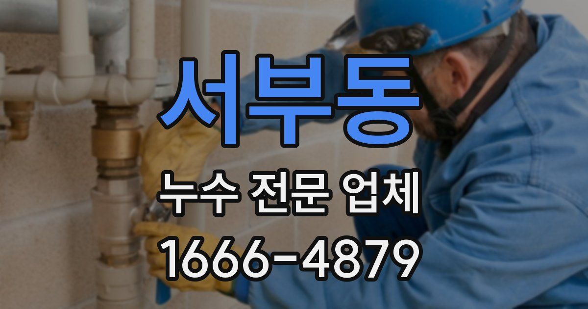 서부동 누수 전문 업체