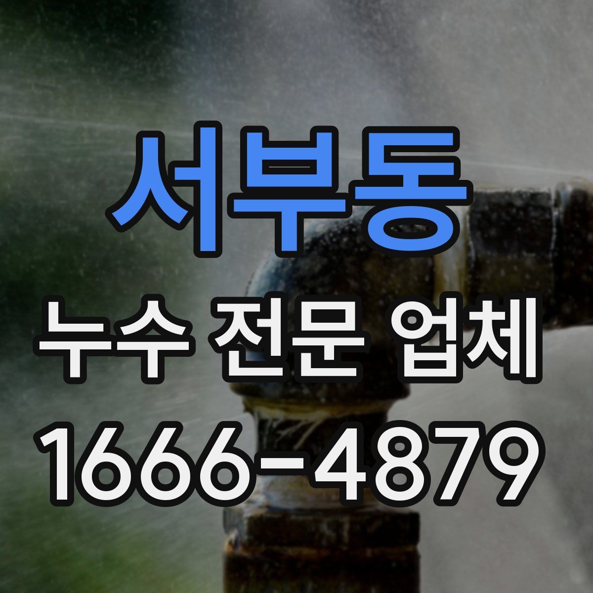 서부동 누수 전문 업체