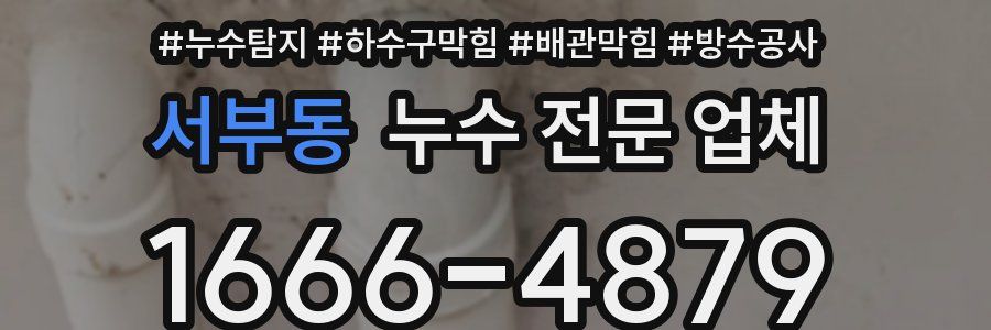 서부동 누수 전문 업체