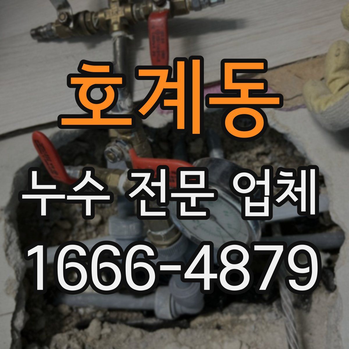 호계동 누수 전문 업체