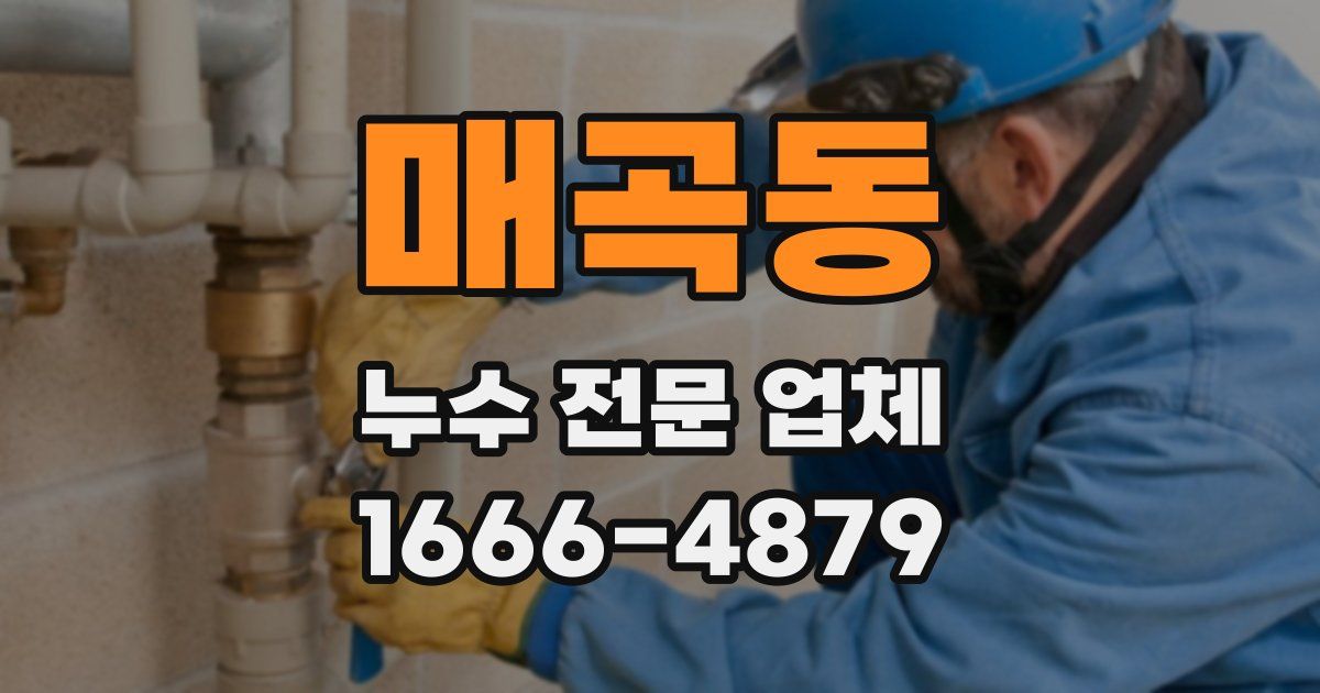 매곡동 누수 전문 업체