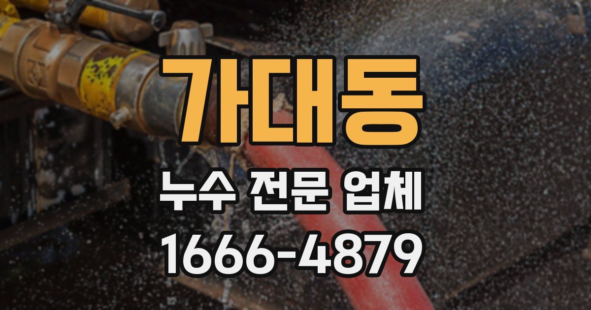 가대동 누수 전문 업체