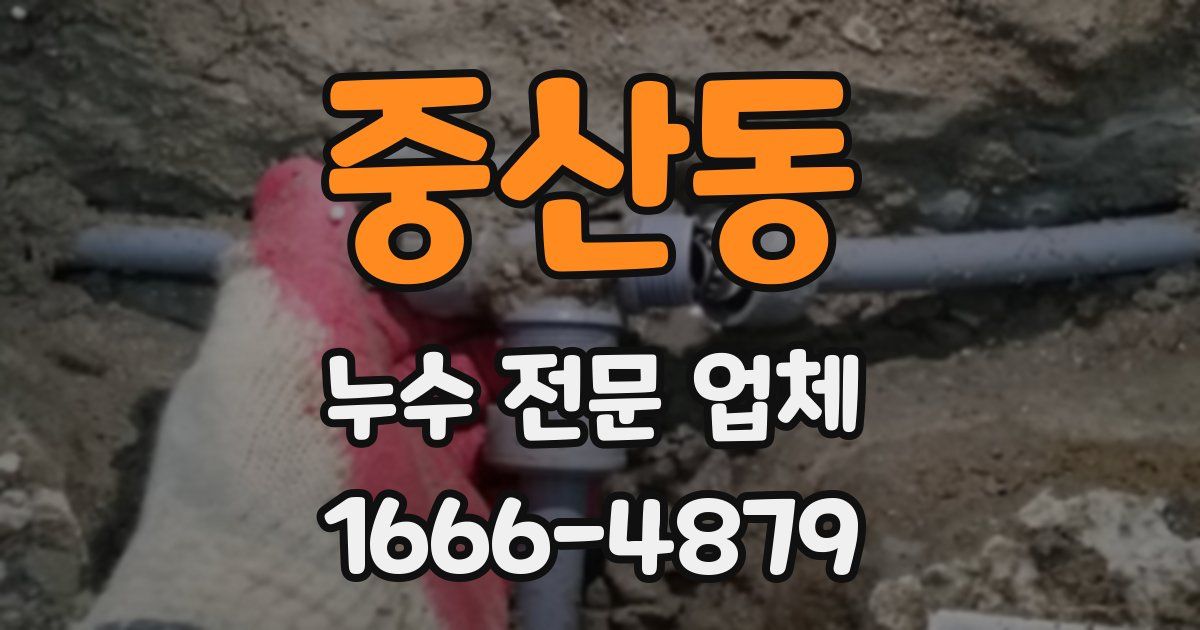 중산동 누수 전문 업체