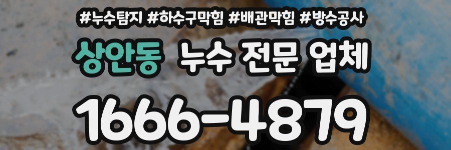 상안동 누수 전문 업체