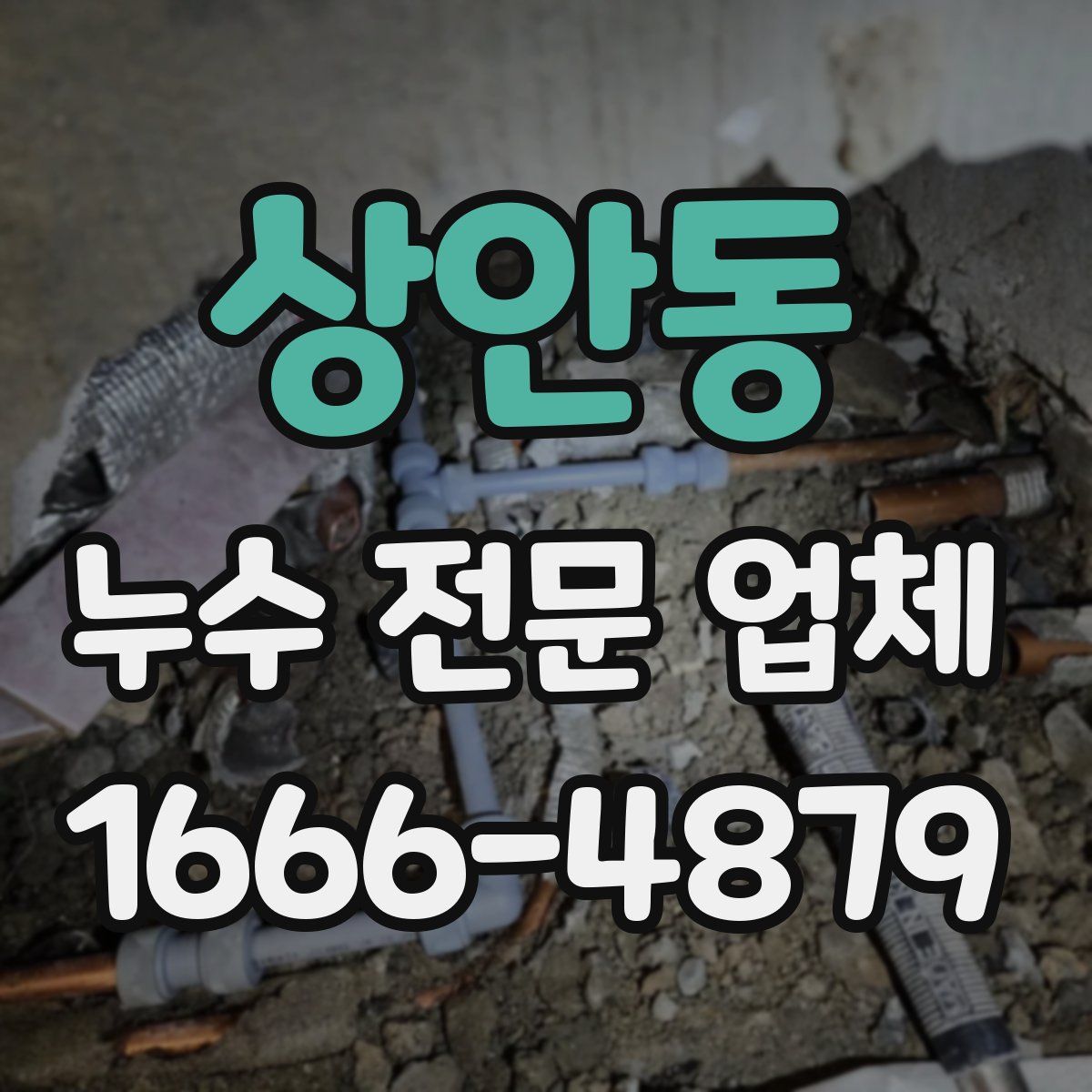 상안동 누수 전문 업체