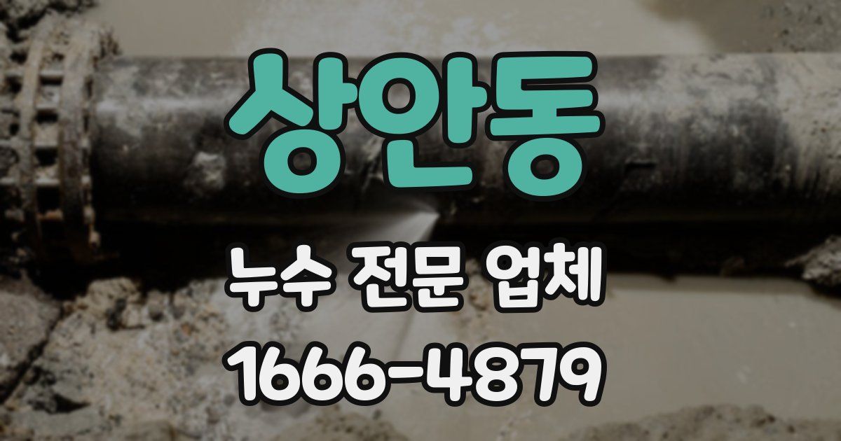 상안동 누수 전문 업체
