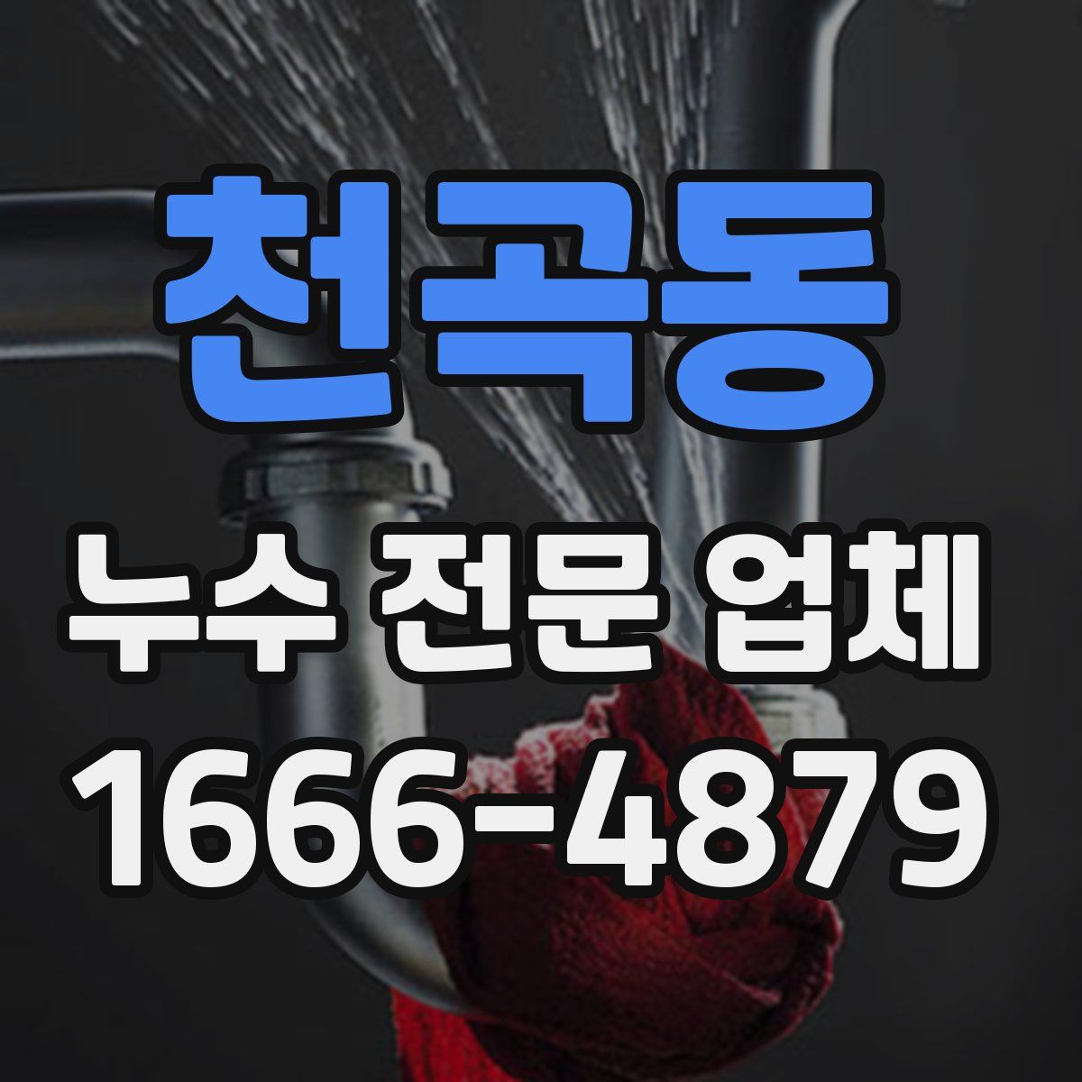 천곡동 누수 전문 업체