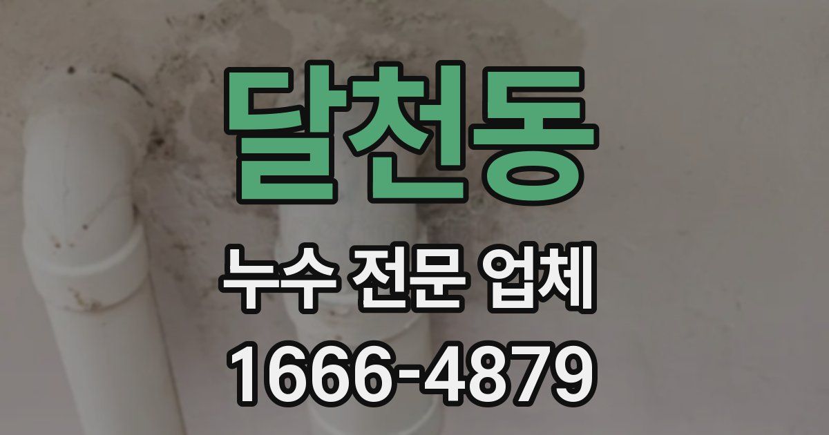 달천동 누수 전문 업체