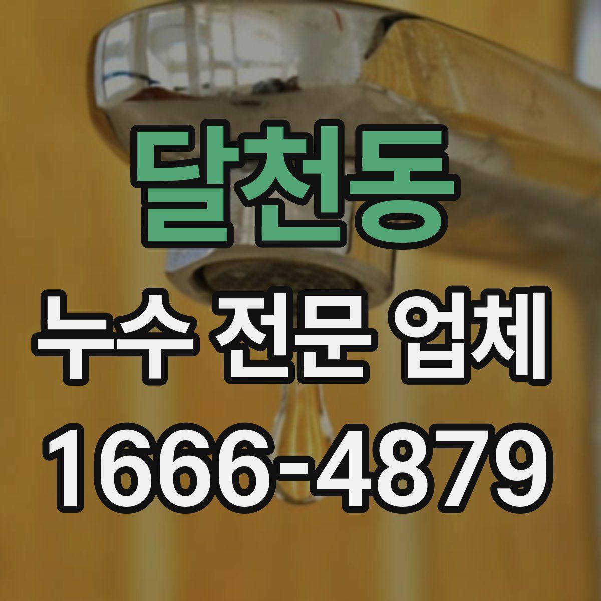 달천동 누수 전문 업체
