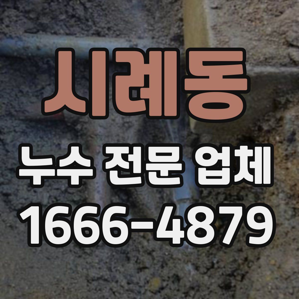 시례동 누수 전문 업체