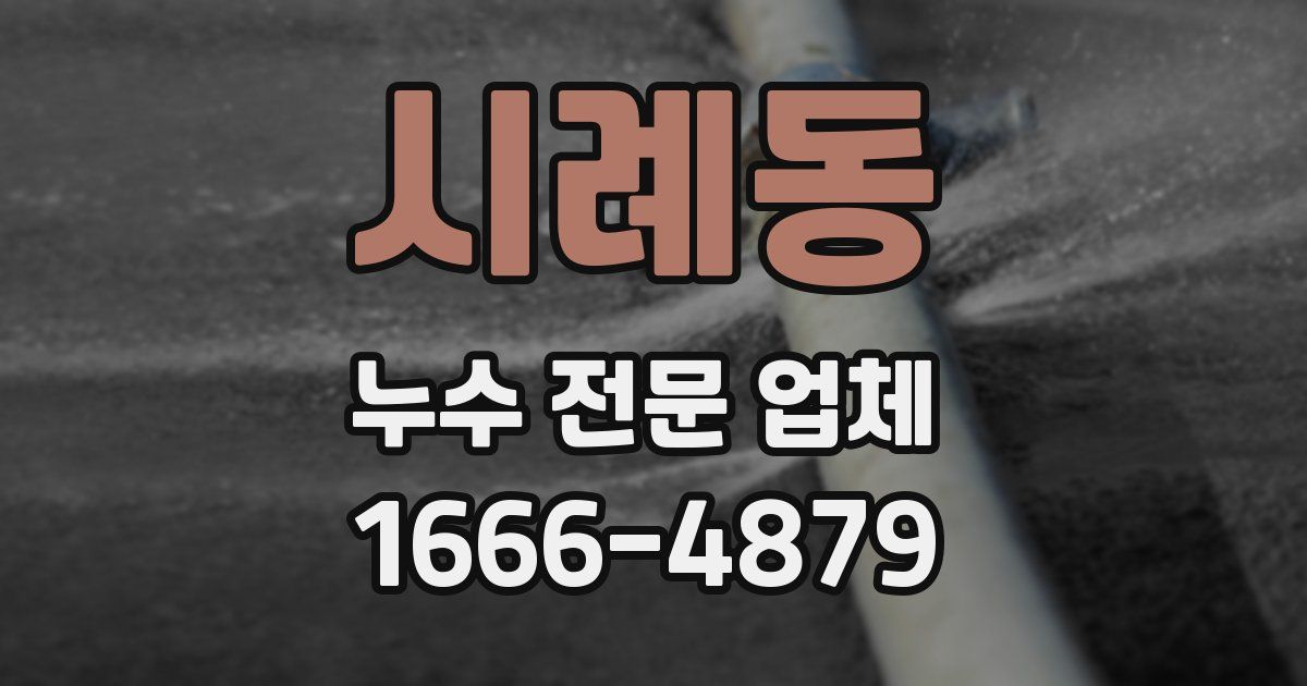 시례동 누수 전문 업체