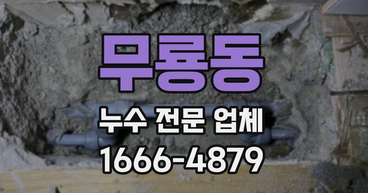 무룡동 누수 전문 업체