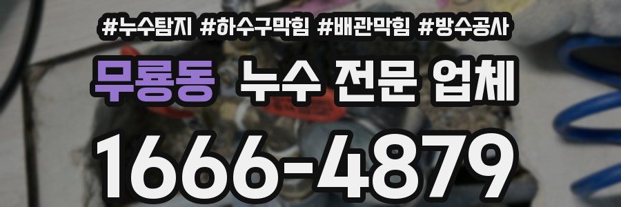 무룡동 누수 전문 업체