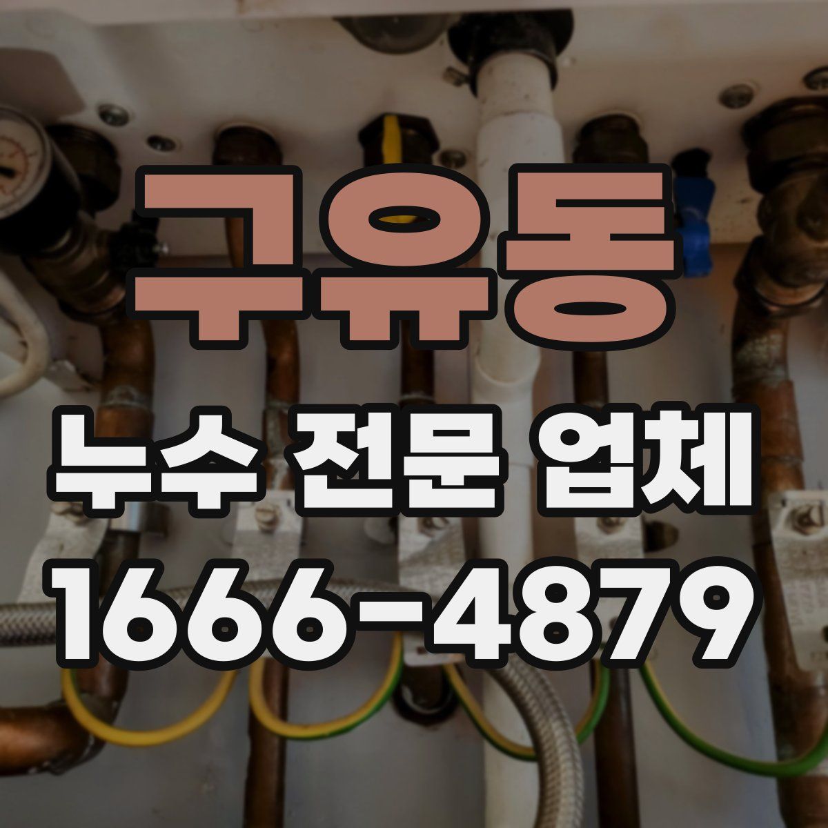구유동 누수 전문 업체