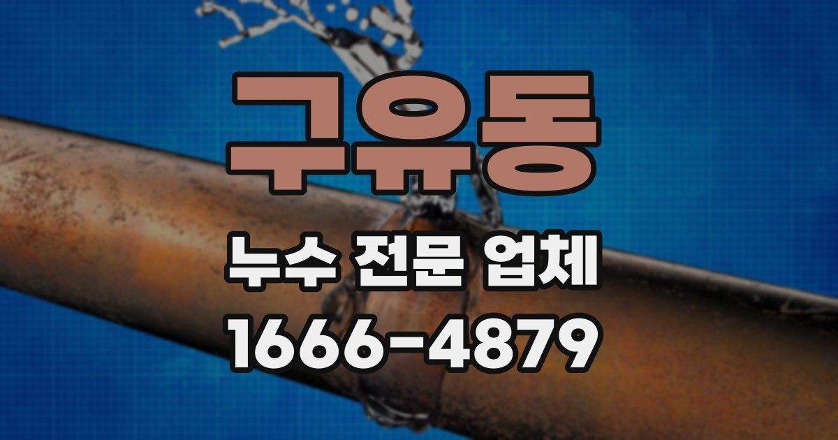 구유동 누수 전문 업체