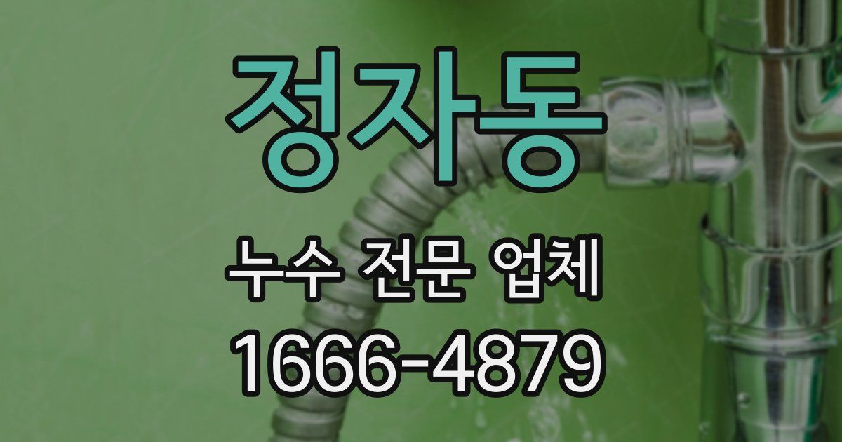 정자동 누수 전문 업체