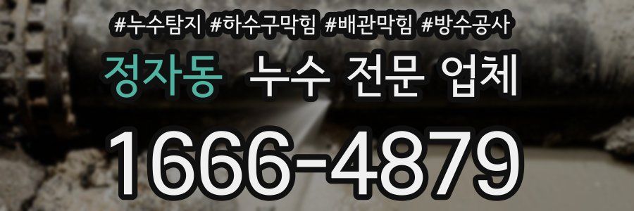 정자동 누수 전문 업체