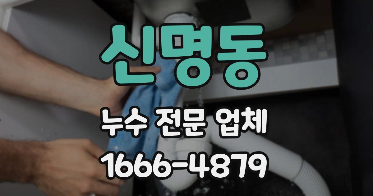 신명동 누수 전문 업체