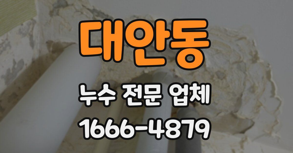 대안동 누수 전문 업체